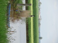 IMG_0756