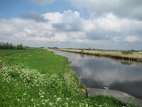 IMG_0763