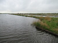 IMG_0877