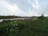IMG_0878