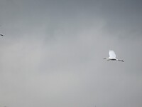 IMG_0879