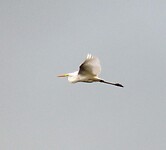 IMG_0880