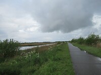 IMG_0881