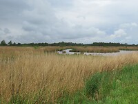 IMG_0883
