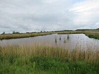 IMG_0884