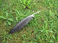 IMG_0886