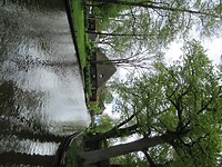 IMG_0891