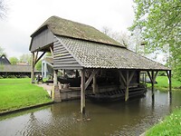 IMG_0892