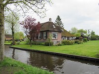 IMG_0903