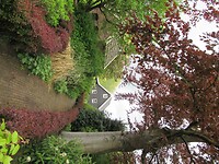 IMG_0905