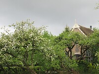 IMG_0909