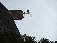 IMG_0911
