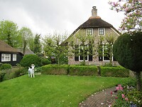 IMG_0919