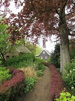 IMG_0905