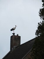IMG_0911