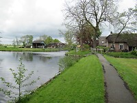 IMG_0950