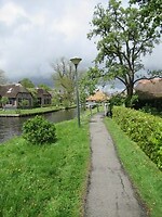 IMG_0951