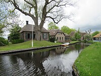 IMG_0953