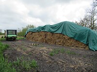 IMG_0960