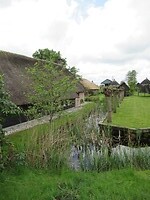 IMG_0962