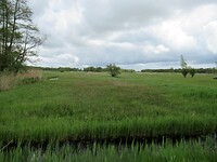 IMG_0963