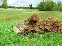 IMG_0964