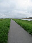 IMG_0968