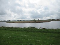 IMG_0969