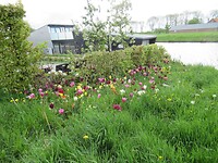 IMG_0978