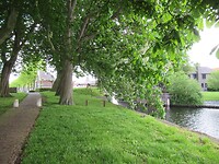 IMG_0980