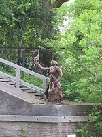 IMG_0981