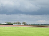 IMG_0990