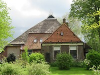IMG_0995