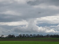 IMG_0996