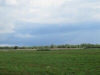 IMG_0998