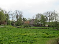IMG_1002