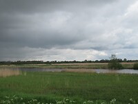 IMG_1003