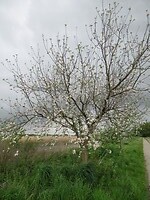 IMG_1004