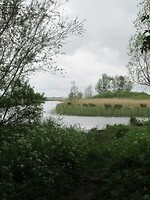 IMG_1005