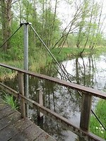 IMG_1007