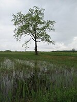 IMG_1025