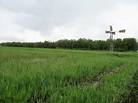 IMG_1028
