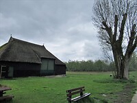 IMG_1029