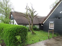 IMG_1031