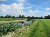 IMG_1041
