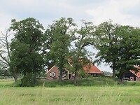 Hondeborg