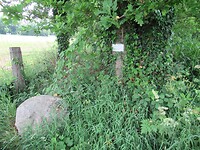 Markersteen