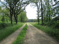 lange eenzame paden