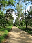 holterberg