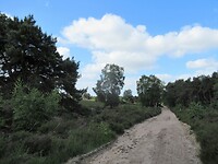 holterberg